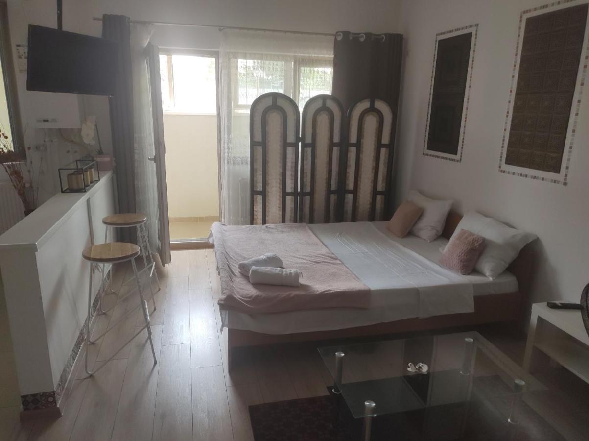 Апартаменты Fundeni - Garsoniere - Langa Spital Бухарест Экстерьер фото